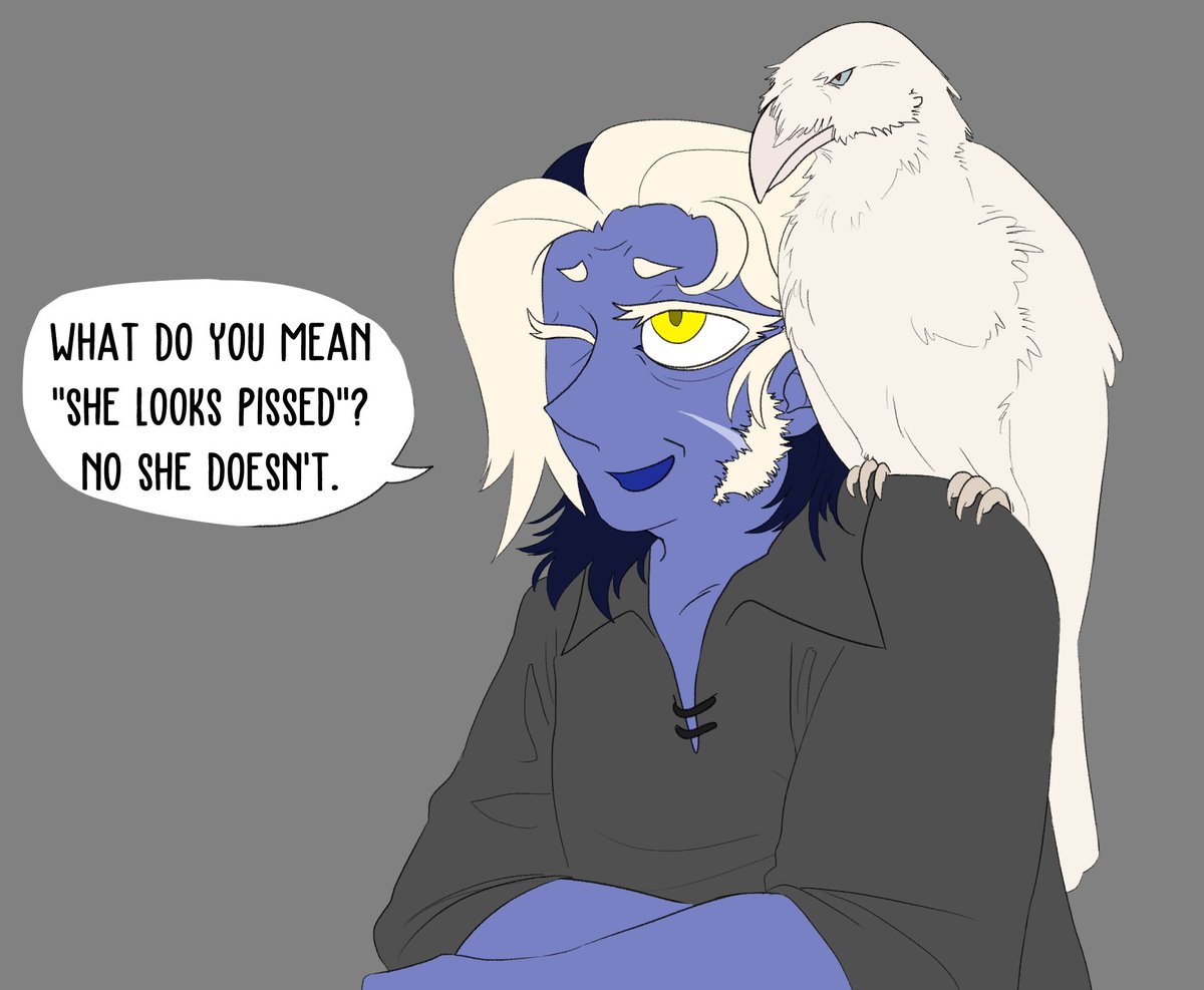 _fish_ears's tweet image. Erin is one of those pet owners that cannot believe their little baby can be mean to others