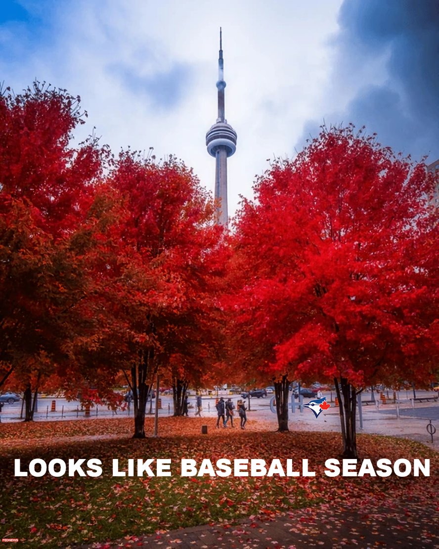 Greetings from Toronto.