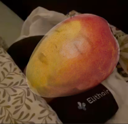 Janni Frisch tweet media