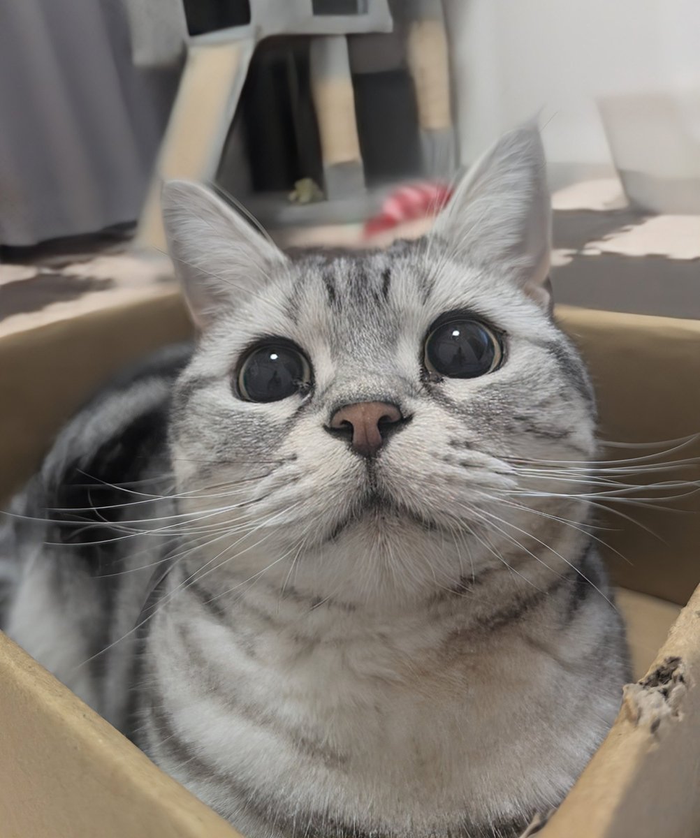 ぱるるページ❤️ ぱるる