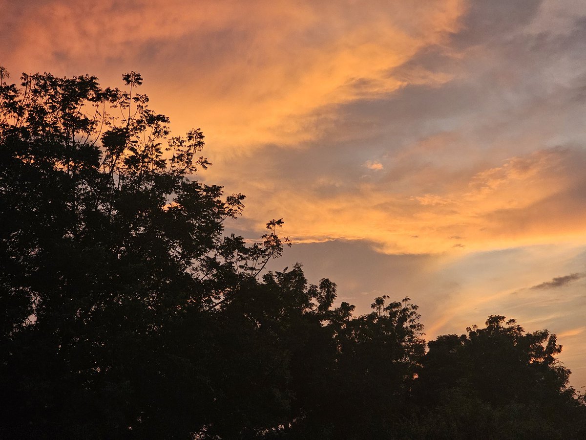 Momentum sale starts on 27th of October 
Megaeth sale starts on 27th of October also

Which project gets the higher share of the market?