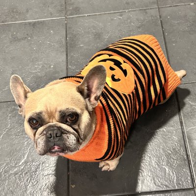 coco_th's tweet image. #NewProfilePic  #pumpkinvibes 🎃 
#pumpkinjumper 🫶🏻
#Halloween2025  🧟‍♂️