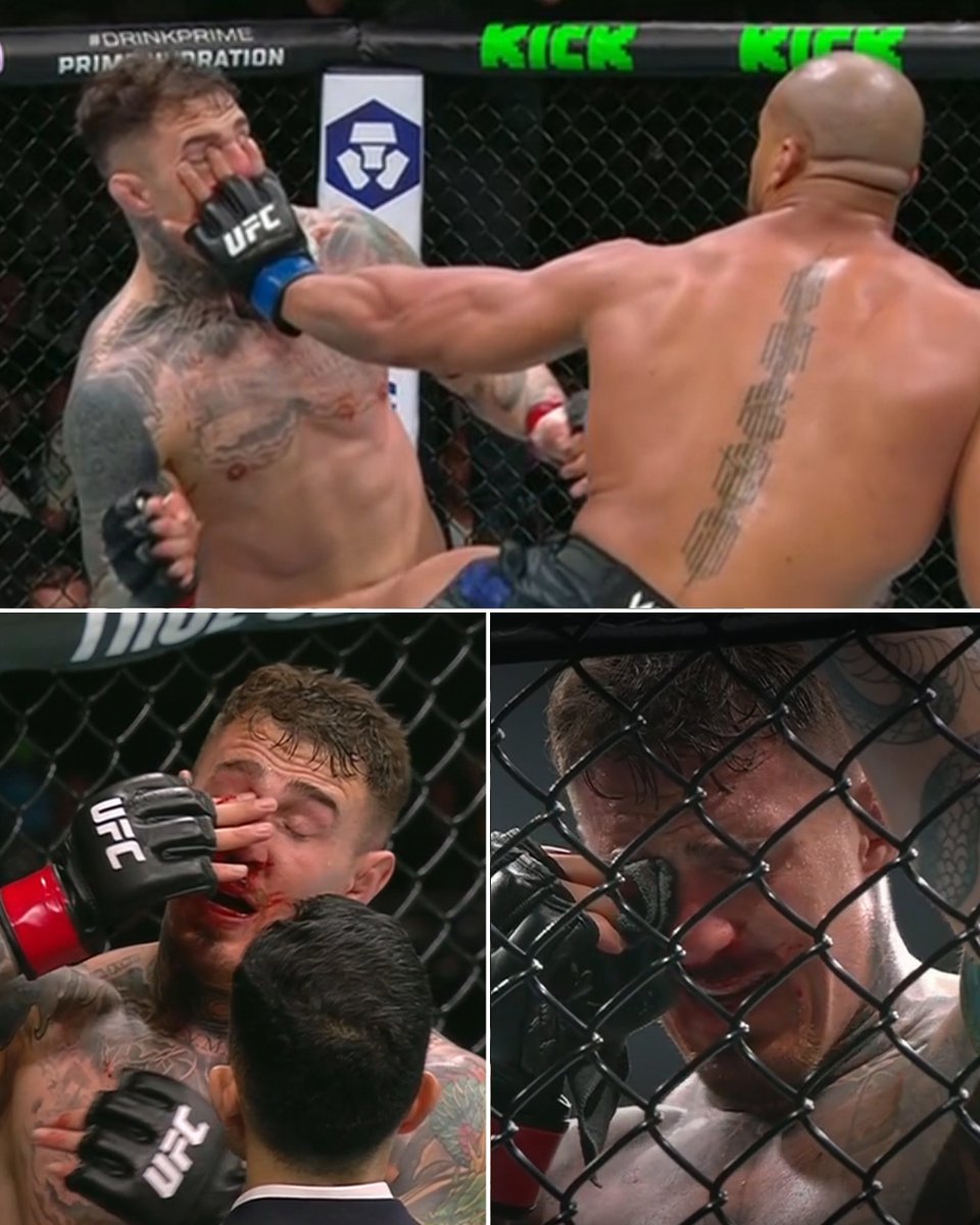 Happy Punch tweet media