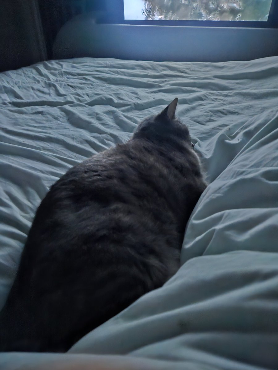 peterjones0's tweet image. 11 years ago and tonight