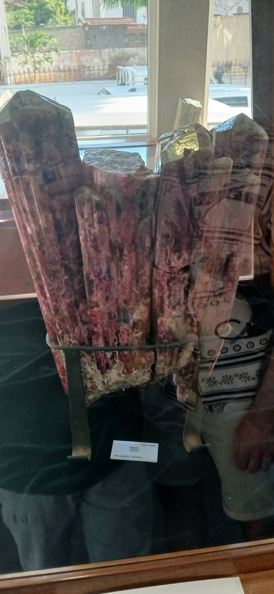 didts's tweet image. Museu de gealogia de Maputo