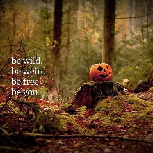 HolisticTips4U's tweet photo. Autumn: perfect season to fly your freak flag HIGH! 🎃👽🍂 #YouBeYou #SelfcareSaturday https://t.co/nrTNzDe0Sc