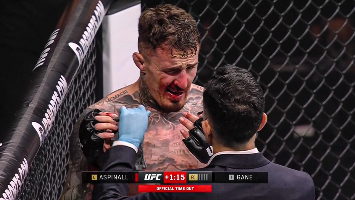 El footix tweet media