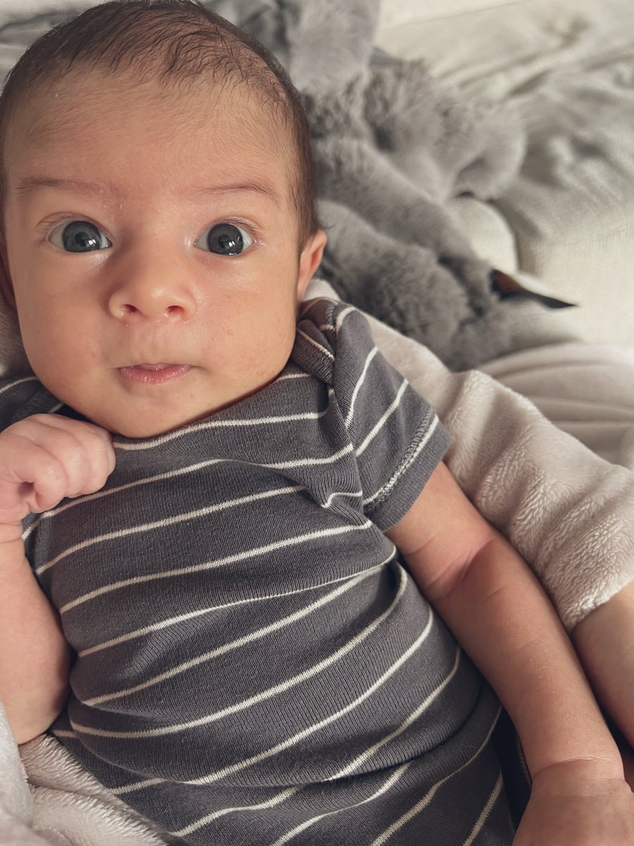 Showing him pics and videos from last night, he wanted to go too😂 <a href="/halsey/">halsey 🌸</a> #BackToBadlandsTour