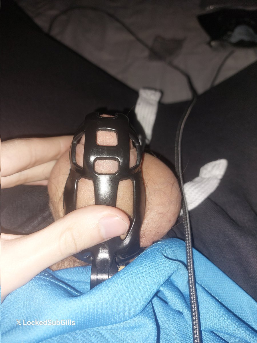 lockedSubGills's tweet photo. Day 25 cage check plus was looking and found some cages I bought for my last lockup but never used. What do you guys think of them https://t.co/d7lEZazgm0
