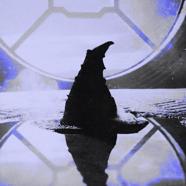 𝑏𝑜𝑟𝑛 𝒲𝐼𝐶𝐾𝐸𝐷. tweet media