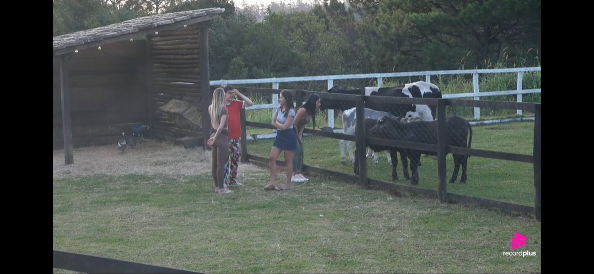 raituita_'s tweet image. é galera com essas palhaçadas da yoná, tô achando que no final serão apenas g4 🫶🏼 #AFazenda #TeamSaory