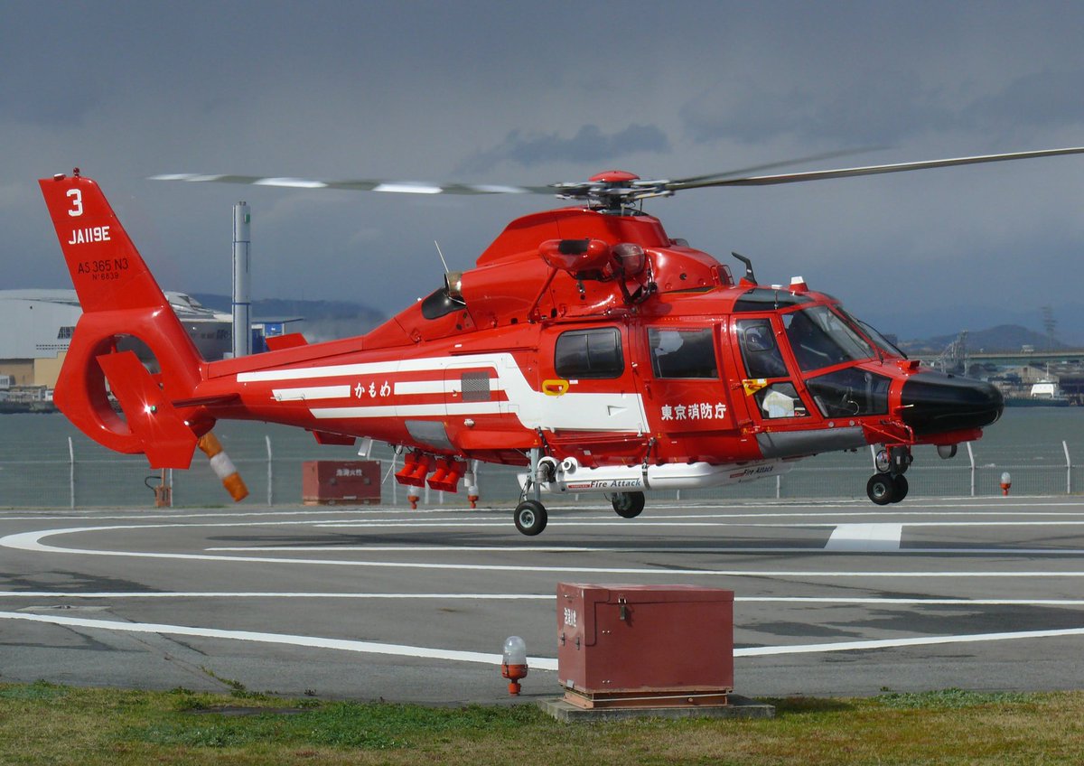 #ドーファンを愛でる会