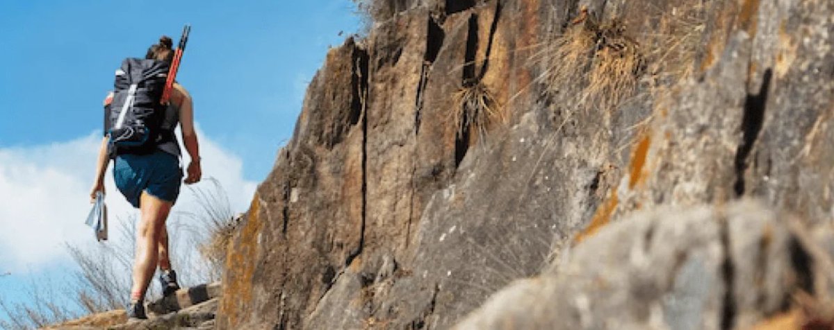 ArmaSkin tweet media