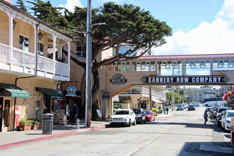 Chris Christensen (@chris2x) on Twitter photo Monterey’s Cannery Row: From Industrial Ruins to Iconic Destination - California Travel california.amateurtraveler.com/cannery-row-mo… #california #monterey #travel #SeeMonterey <a href="/VisitCA/">Visit California</a> Monterey’s Cannery Row: From Industrial Ruins to Iconic Destination - California Travel california.amateurtraveler.com/cannery-row-mo… #california #monterey #travel #SeeMonterey <a href="/VisitCA/">Visit California</a>