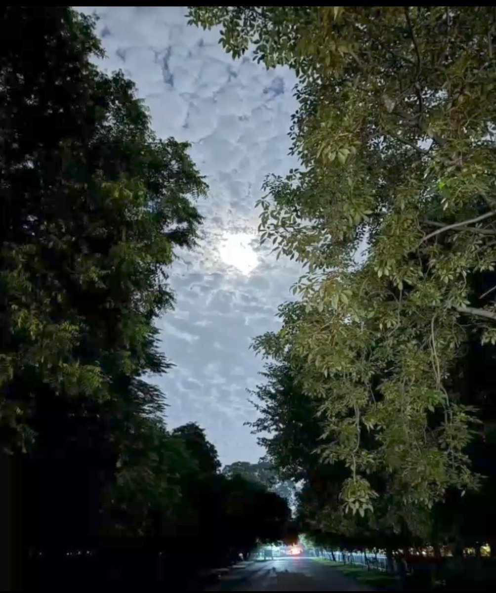 N00_Ray's tweet image. Mobile photography is real photography ✨
Prove it....