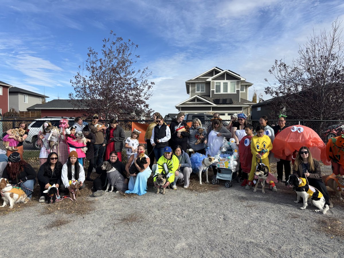 Thank you for making this year’s CJOC HOWLoween Pet Parade with <a href="/petlandleth/">petland lethbridge</a> a huge success &amp; wonderful celebration of the cute side of Halloween. We can’t wait to see you all next year! - April 🎃 #yql #halloween #pets