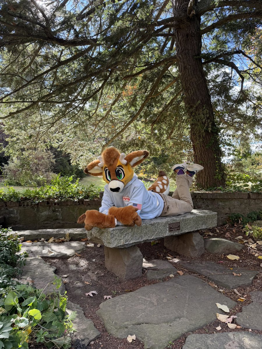 Magic Mustelids! ✨🪄 tweet media