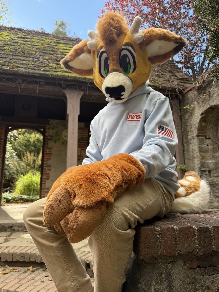 Magic Mustelids! ✨🪄 tweet media