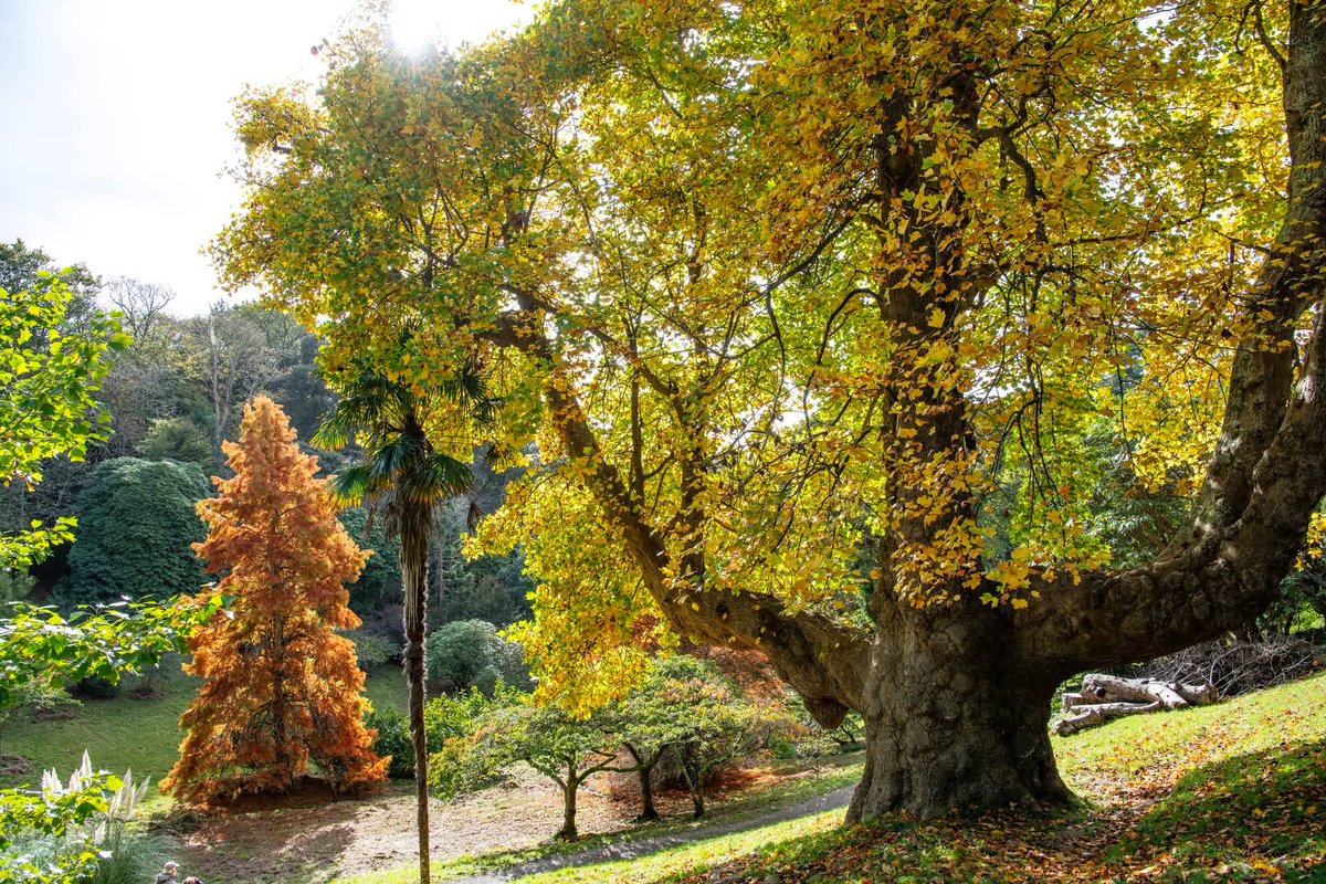 Soundmaker9's tweet image. #Glendurgan