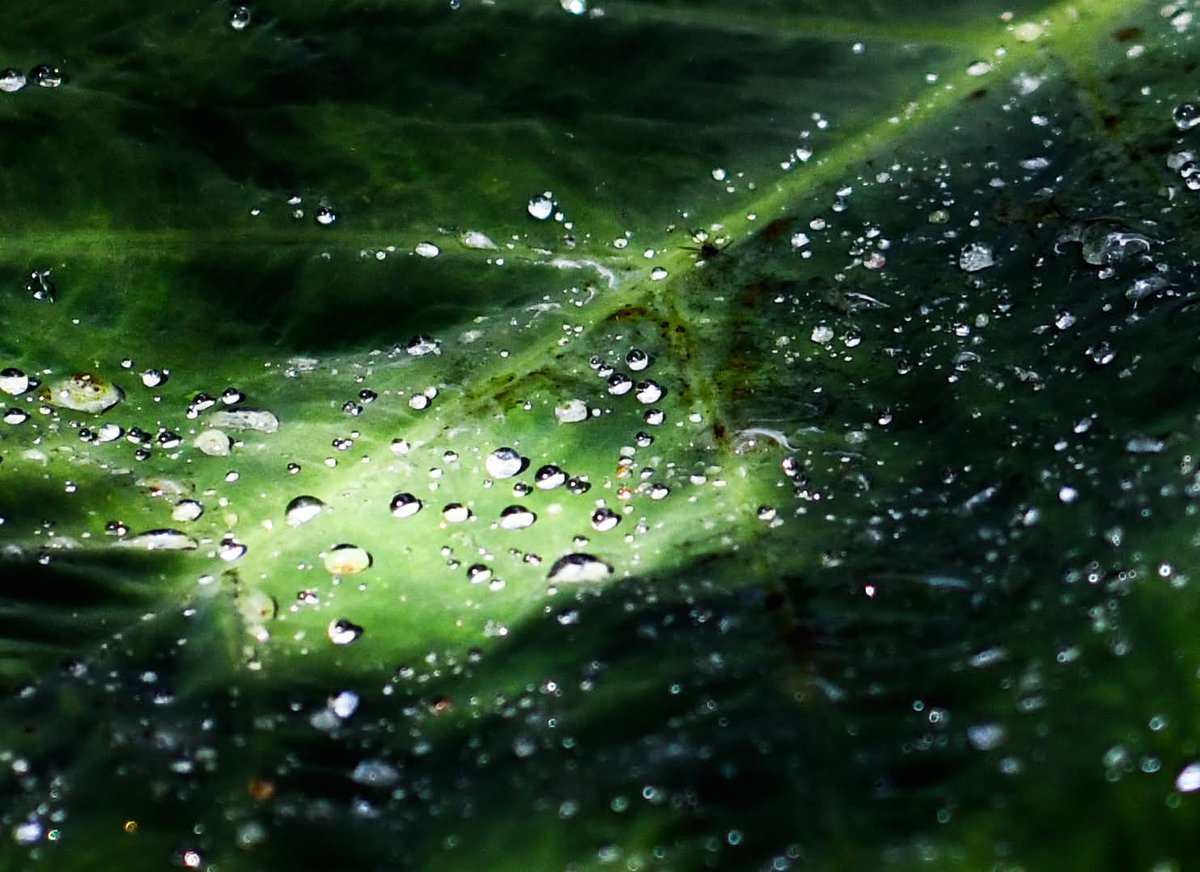 Soundmaker9's tweet image. #Glendurgan