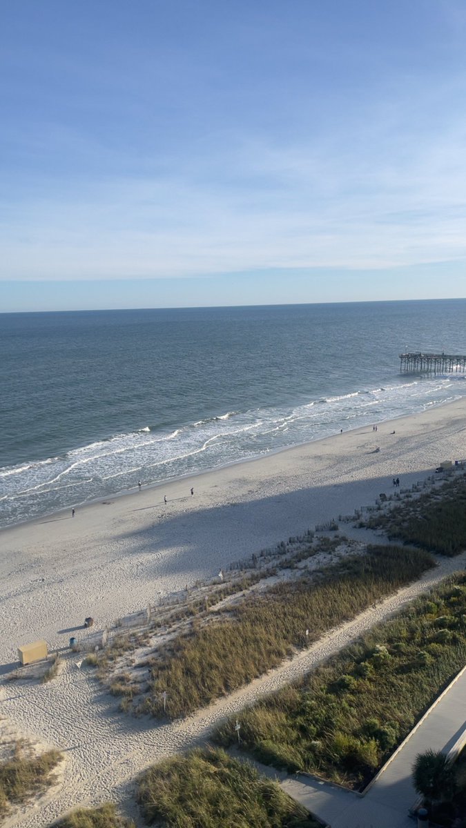 💰Nate tweet media