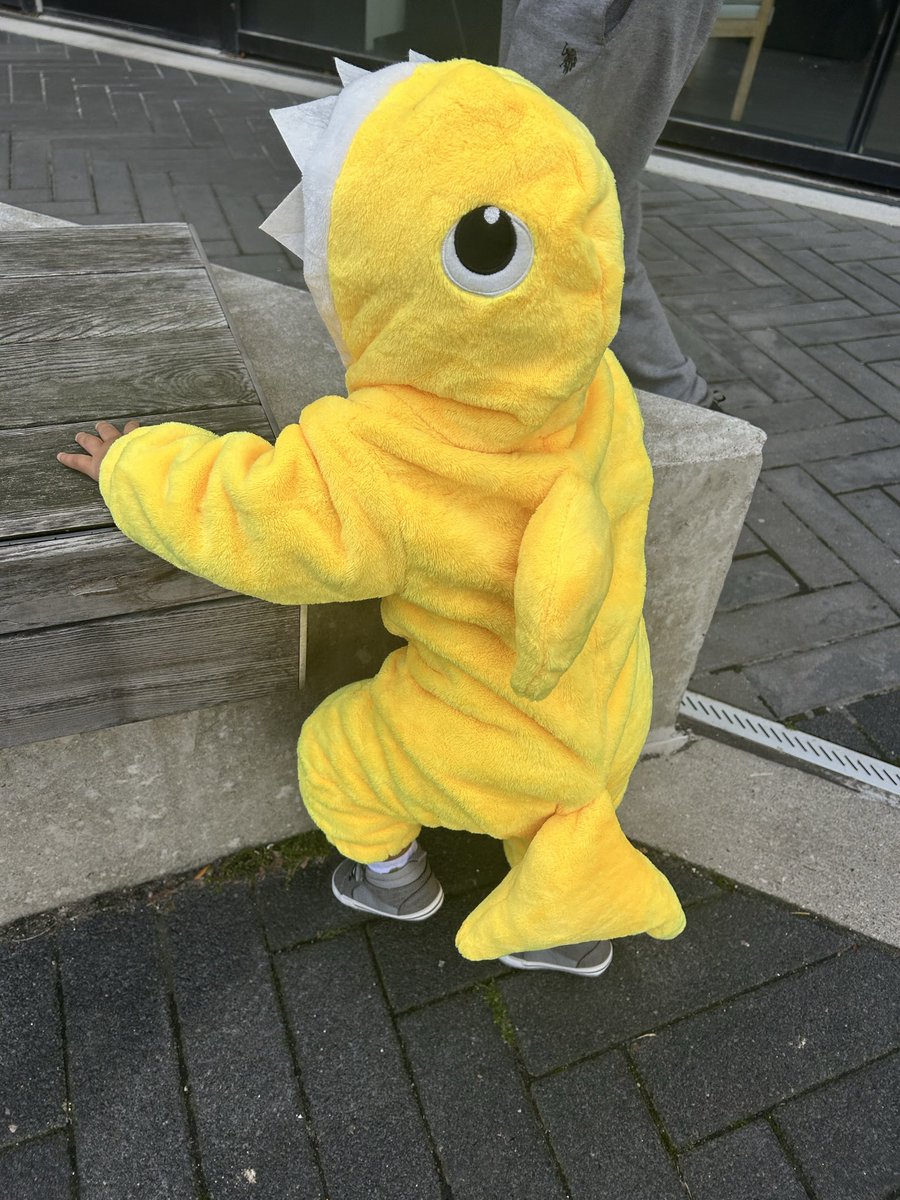 Samanthajarrait's tweet photo. My favorite baby shark 💛 https://t.co/FcKoqRSFe9