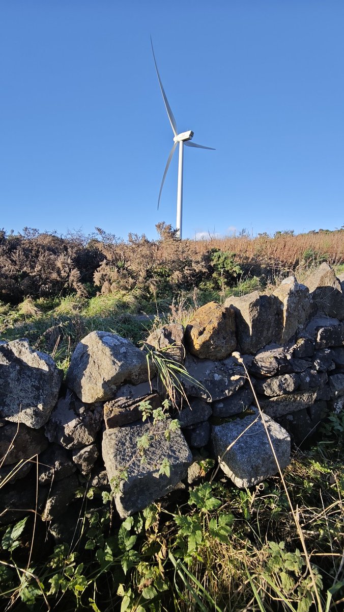 stilegasm's tweet photo. A nice stone stepper at Cathkin Braes, Glasgow https://t.co/FeoUfyRniG