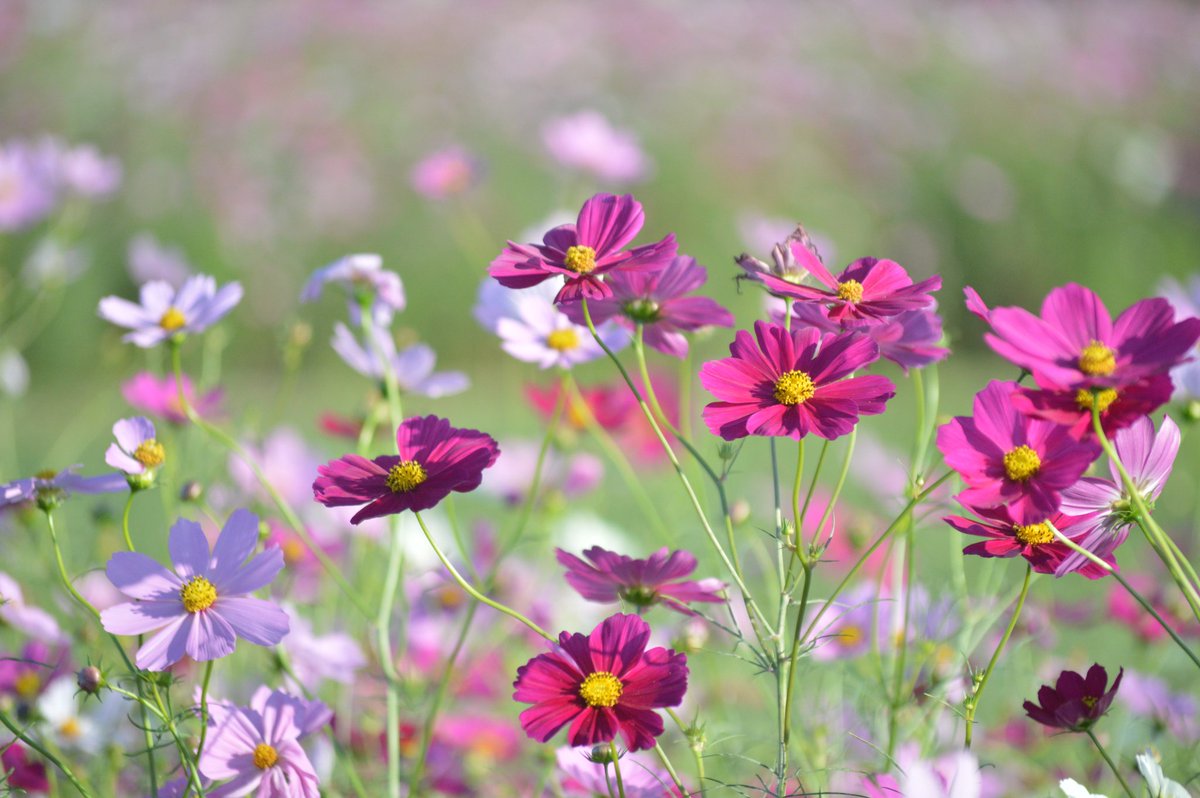 akiページ Amazon.com: Intel I7-4771 3.5 3 LGA 1155 Processor