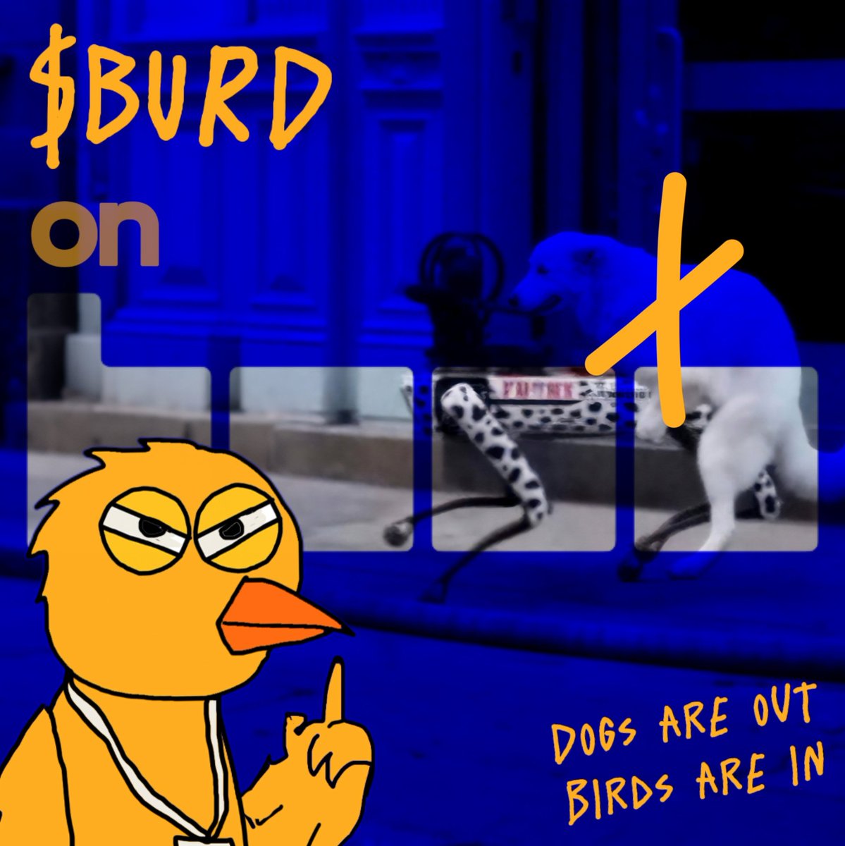 $AUKI's latest model made dogs go full robosexual ! They are not even wearing a $SKI mask anymore.