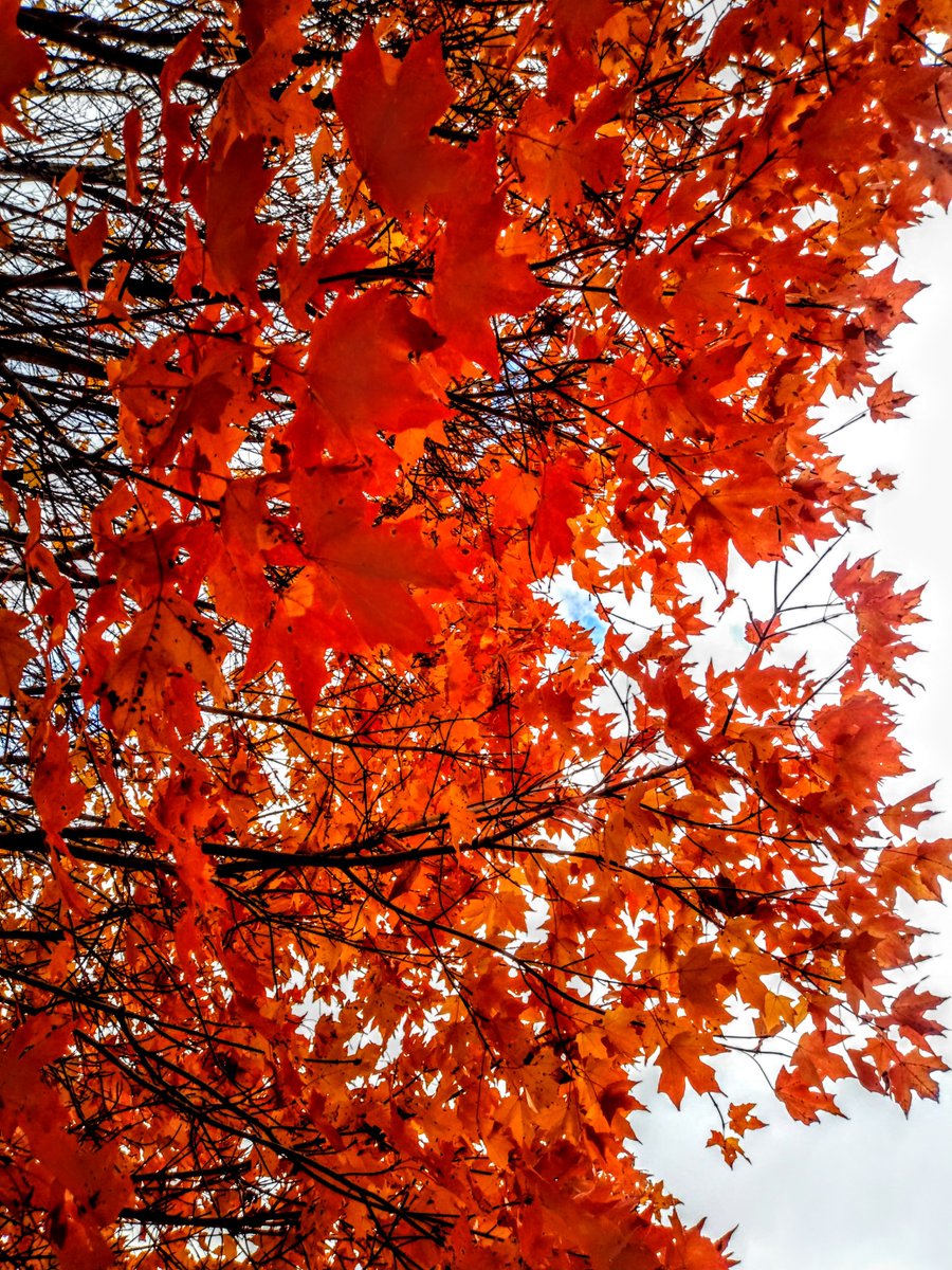 #autumn #fall #october