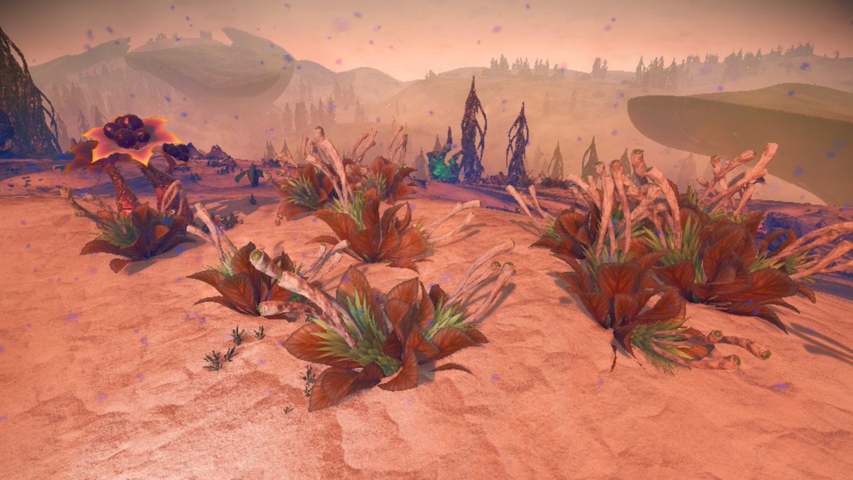 #OurNMSuniverse

Flora tipo peliculas de Avatar, me encantan.