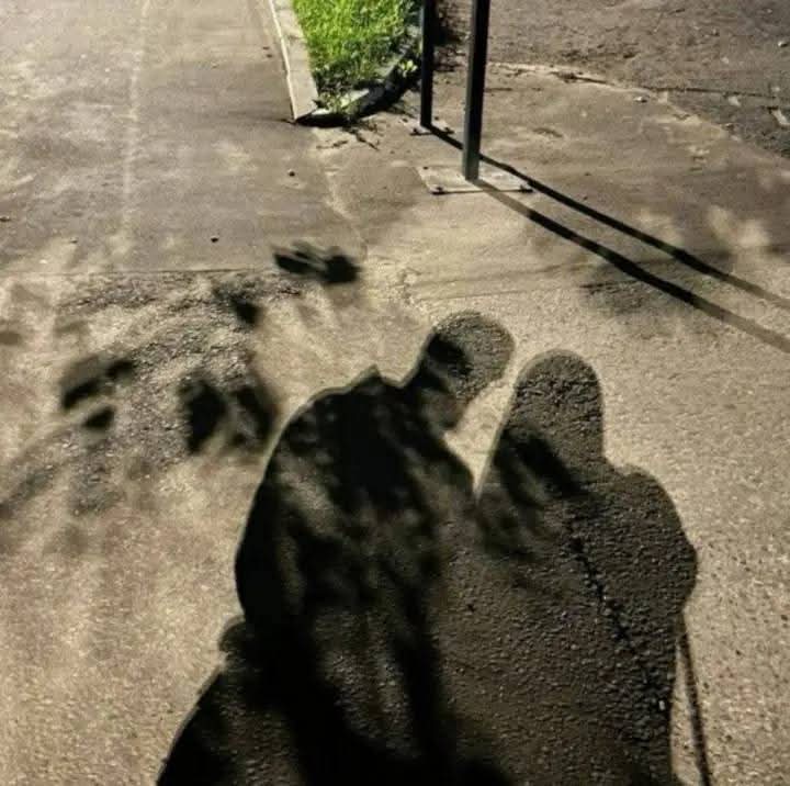 إن لم يكن في أكتوبر،
فليكن في ليلةٍ مُمطرةٍ من ديسمبر،
نمشيها، ولا ينتهي طريقُنا معًا أبدًا.

تُحدّثني عن المرّات التي بحثتَ عنّي فيها،
وأُحدّثك كمِ انتظرتُك.

- دينا إبراهيم.