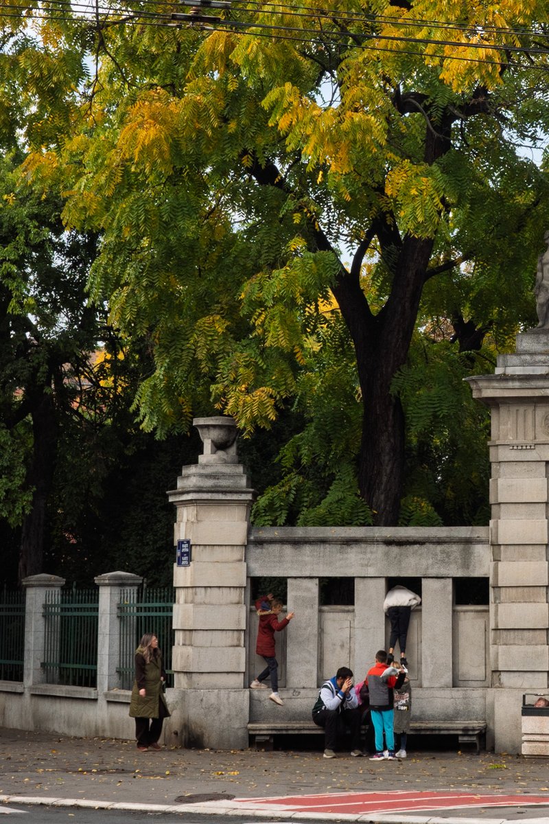 В Белграде уже пару недель как красивая осень