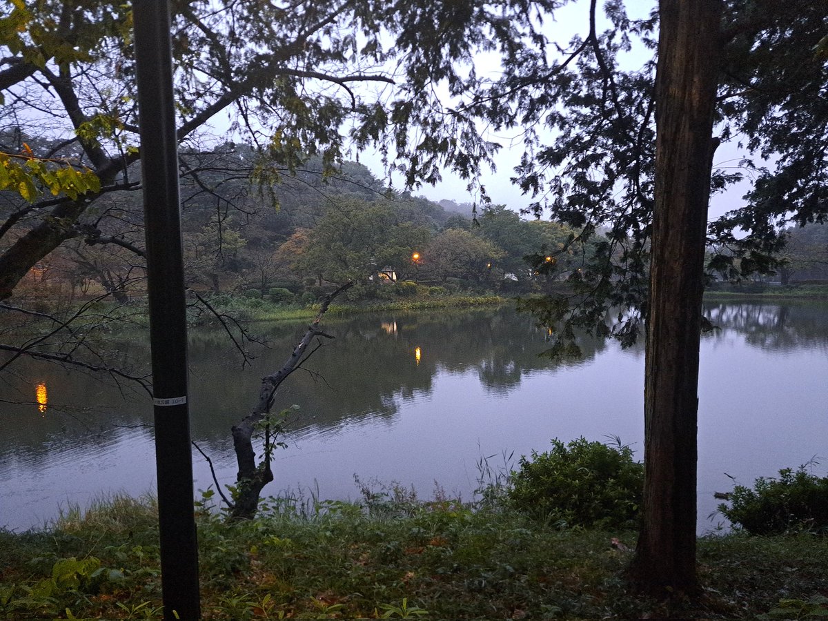 MAMO_CHANNEL666's tweet image. ☔️今日の🍚朝ごはん
鶴見🍜駒岡家さんへGO!!
🌅朝はカナリ寒さが…😅

いつも通り
徒歩で🚶片道1時間半🔥
川崎⇒鶴見川⇒三ツ池公園
🍴ベスコングルメ🔥
🍜お腹減った😋

🍜2軒目は
🐷豚星。さん行きたい🎵

 #駒岡家
 #家系ラーメン
 #朝ラーメン
 #大橋製麺多摩