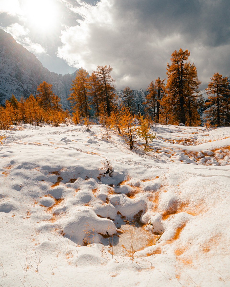 There’s something magical about autumn mountains wrapped in snow 😍
Photo by 📸 <a href="/rok/">ぼっち・ざ・</a>.leben