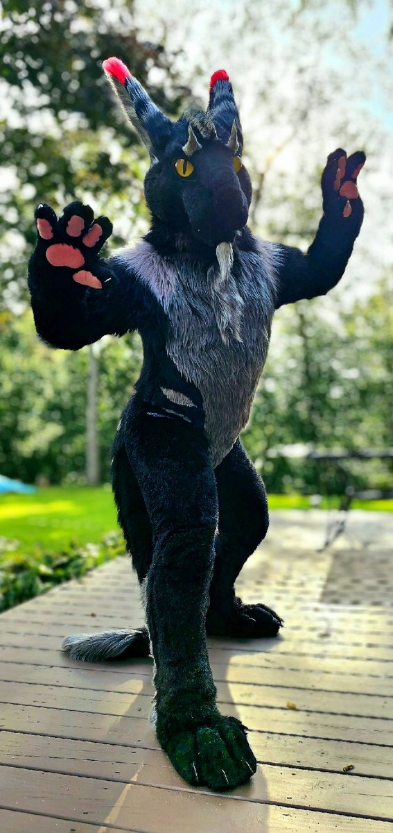 GraphiteDergal's tweet image. Can this handsome boy get some hugs and snugs? 📸 @ PepperMuzz