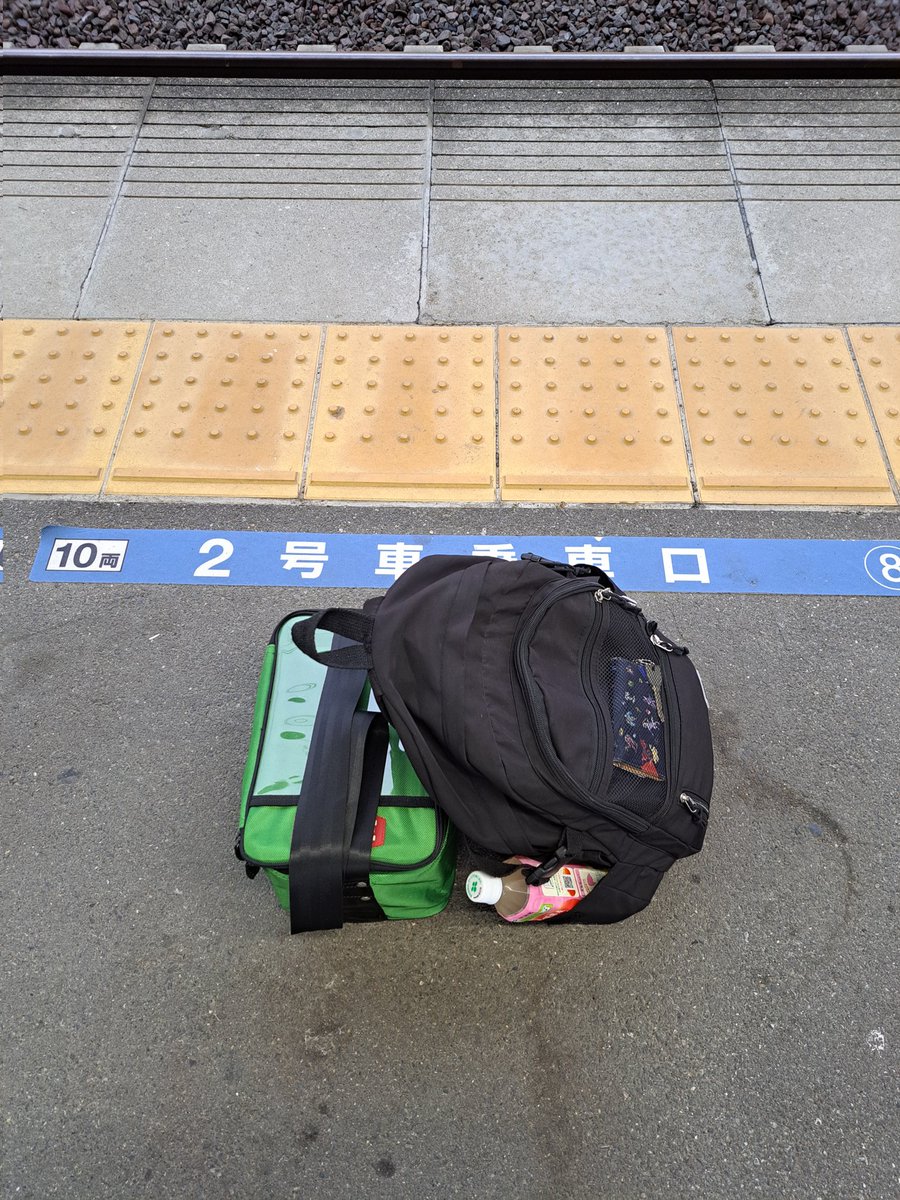 白嶺渡り フジサキトウゴ on X