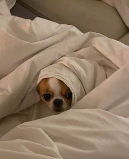 novata adresa mi e ulica nov jorgan broj no me importa nada mas hehe