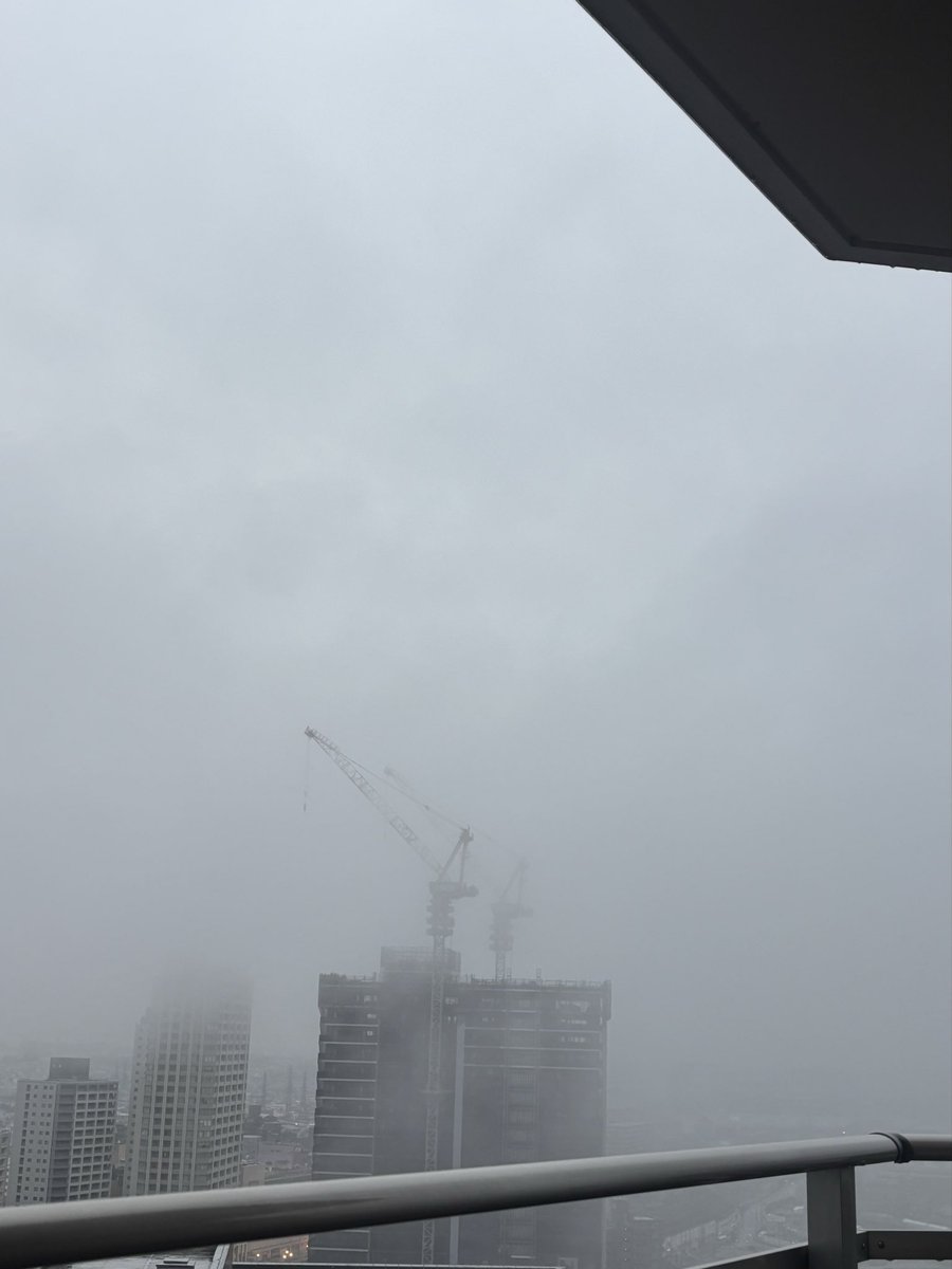 ✨赤毛のアン✨オリジナル手書き原稿！✨PE島コンフェデレーション・アーカイヴス✨ ✨赤毛のアン✨オリジナル手書き原稿！✨PE島コンフェデ