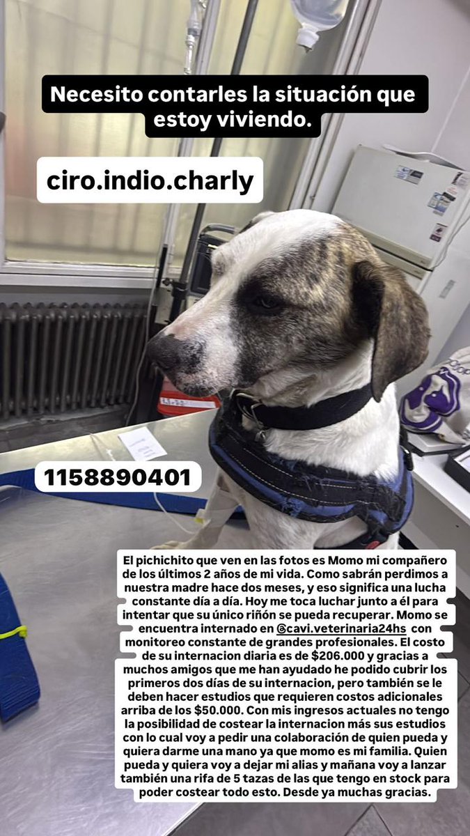 Ayuda por favor a un amigo..... Que la está pasando mal, y en estos últimos tiempos todo se le ha complicado.
Solidaridad cuerva necesito por favor !!!!!

Gracias de Corazón !!!!!
#SanLorenzo

Yo me sumo ..... Sumate vos también ...