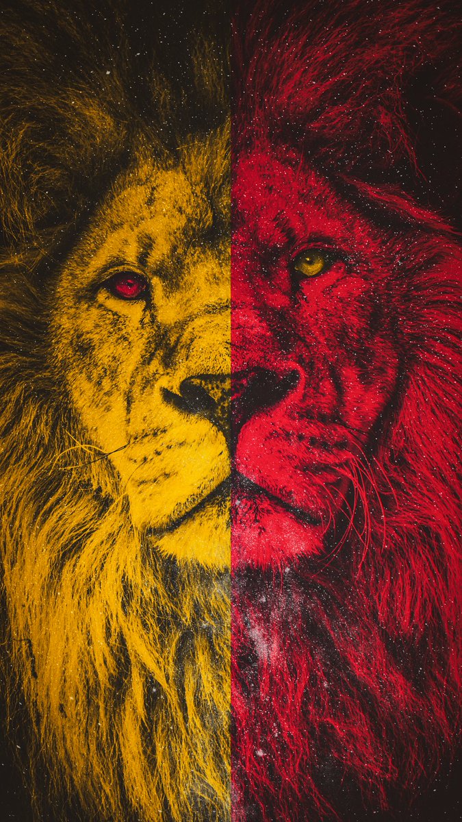#BugünGünlerdenGALATASARAY
#Hedef26 💛❤️🦁