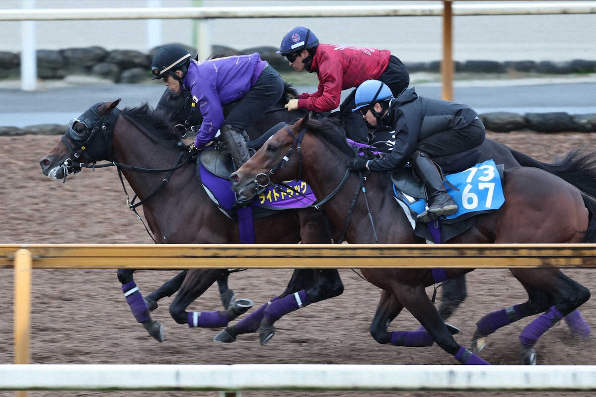 ウィッティングハム アメリカ競馬の伝説 Wittingham 日本競走馬協会