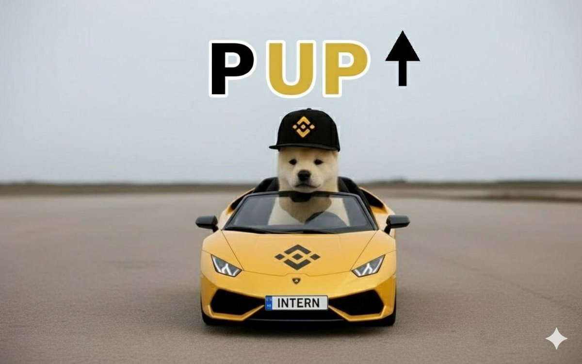 _____Yaz_____'s tweet image. Pup it