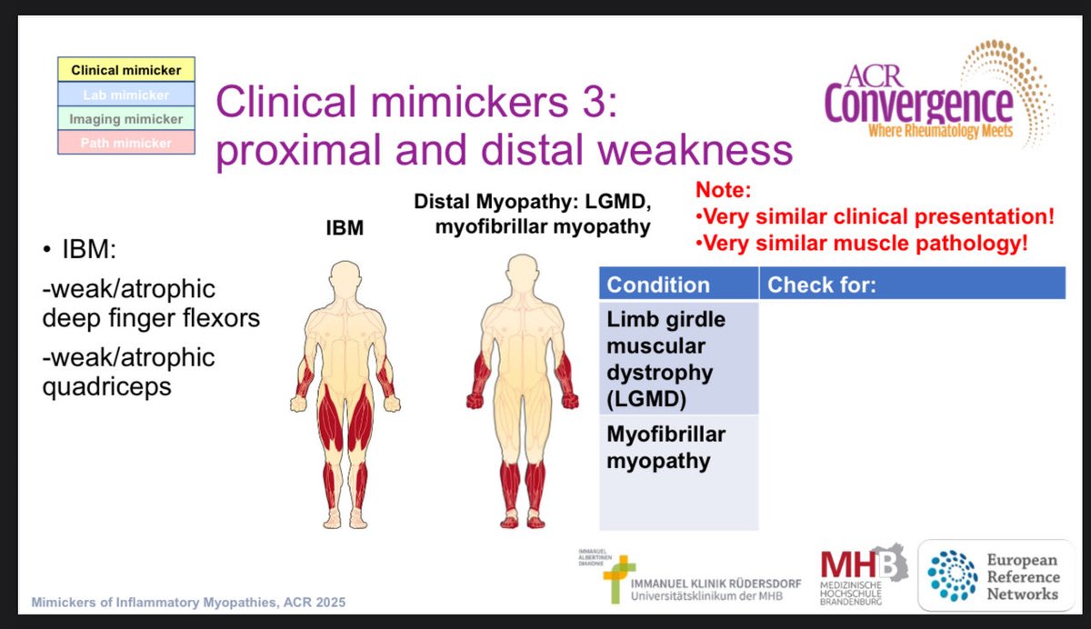 dr_immuno29's tweet image. #ACR25 | Mimics of Myositis – What’s Hiding in Plain Sight? | Jens Schmidt 

1️⃣ Every Weakness ≠ Myositis!
Think: statins, thyroid, toxins, dystrophy, PMR, fibromyalgia, neuropathy.

2️⃣ Clinical traps 🔎
Proximal → Becker, CIDP, MG
Distal + proximal → IBM, LGMD
Dysphagia +…