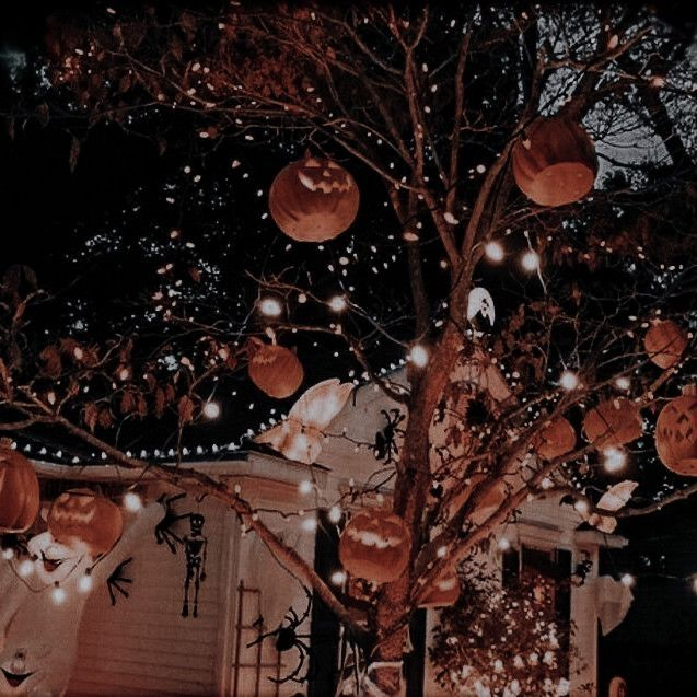 🥮✨ not new to #booktwt #writertwt but looking for moots!! 🎃

⚘ she/they. 30s. pisces. infj. score music lover.
♡: scifi, fantasy, tragedy, paranormal, romance, (southern) gothic, classics, &amp; dark themes enjoyer 
cr: powerless + the raven king (aftg)

♡/↺ to be moots!!