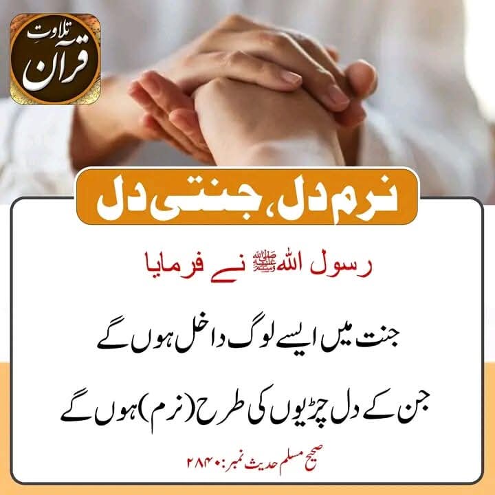 KHURSHEED HAZARVI (@khursheedali001) on Twitter photo 