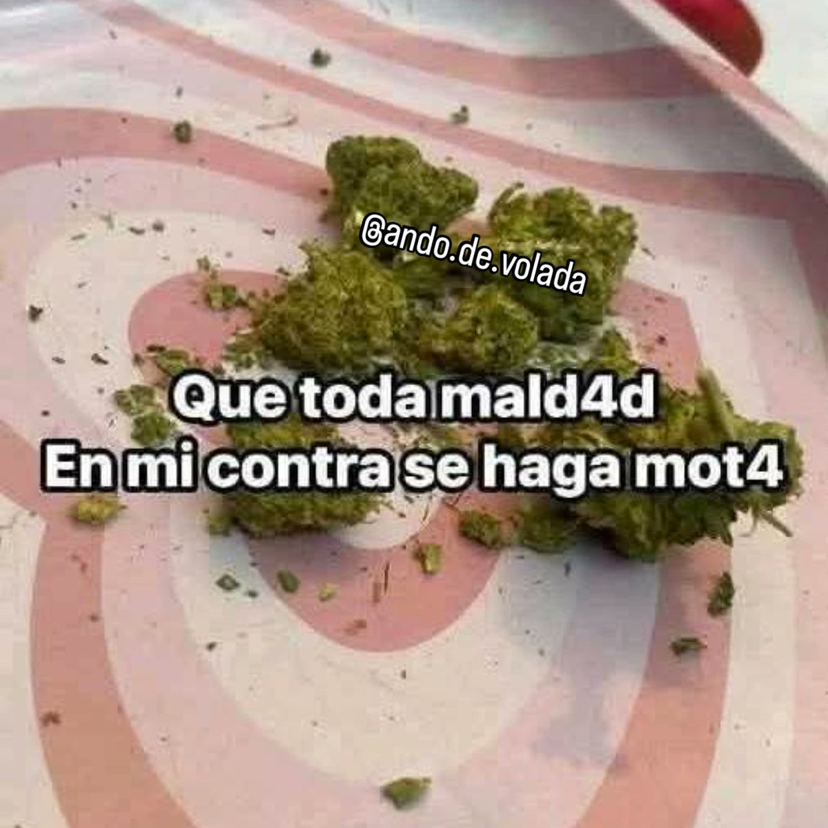 Que así sea 🌱✨ 
Sigue en Instagram: ando.de.volada