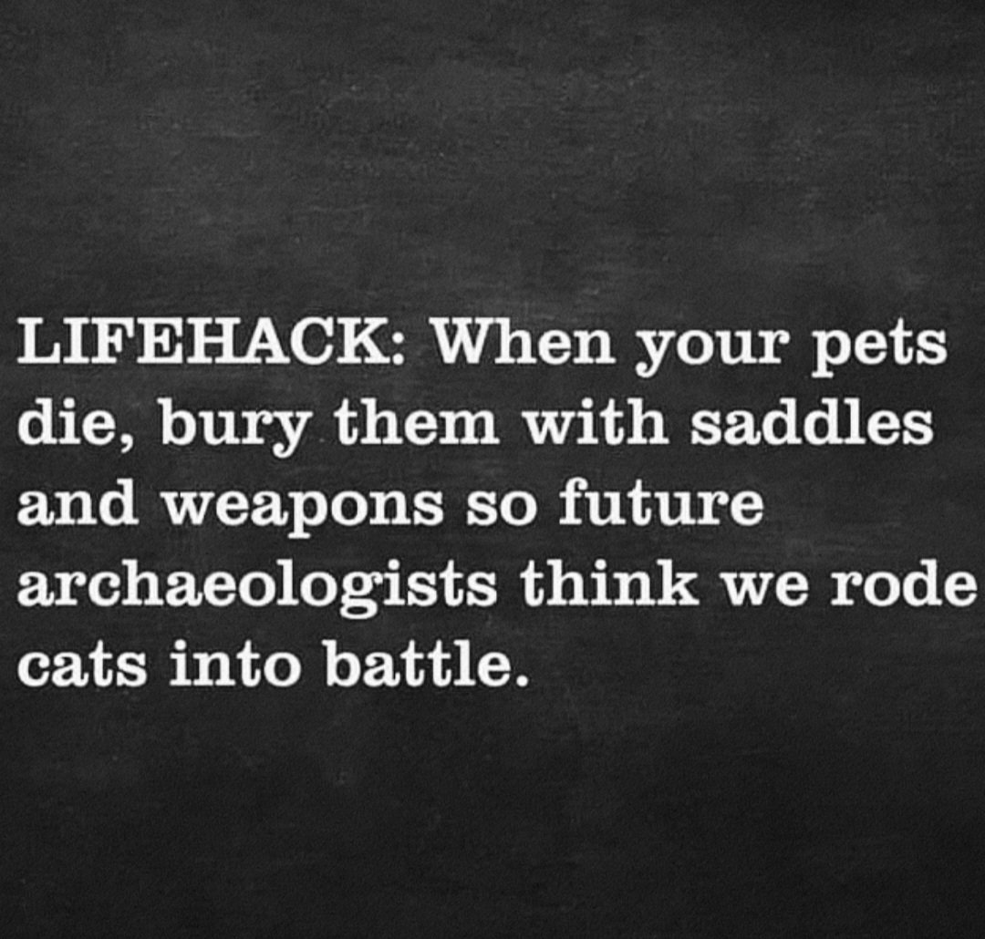 seems legit 👇🏻