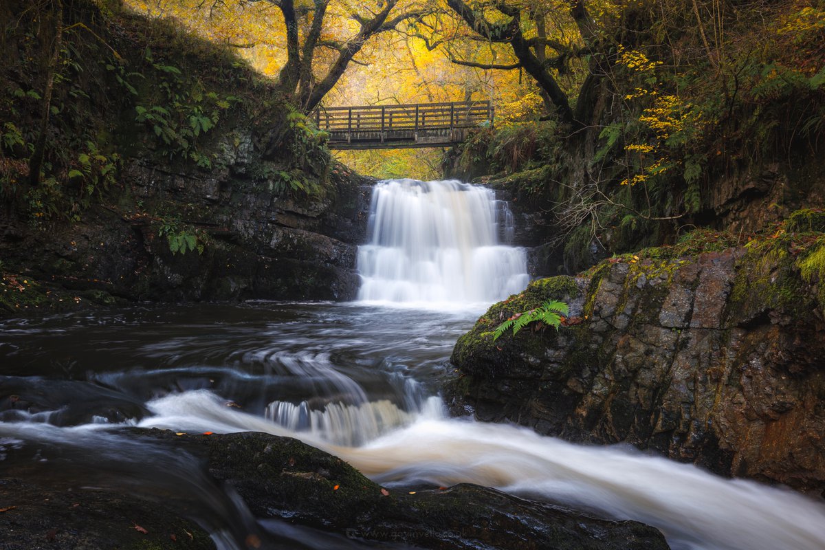 GmusicV's tweet photo. Short spontaneous trip to Sychryd Waterfalls today with the other half today to make the most of the autumn colours before they totally disappear. #waterfalls #nature #naturephotography #waterfallcountry #landscapes #naturephotography #canonlandscapes #autumnvibes๐ https://t.co/AzLWQwxDKx
