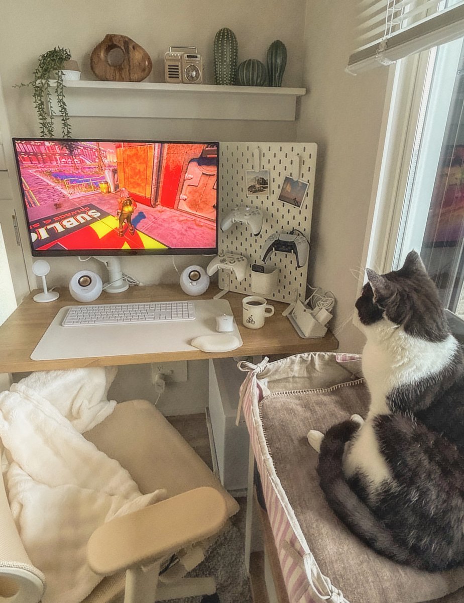 パソコン周りはあれから棚とか追加してこんな感じに
棚の上に猫のベッド設置したら気に入ったみたい🙌 ゲームしながら猫を撫でたり吸ったりできるの最高🤤
今まで居間のテレビでやってたPS5をIKEAのボードの裏に設置してPCモニターに接続したのでこれで気軽に遊べる～～🎮